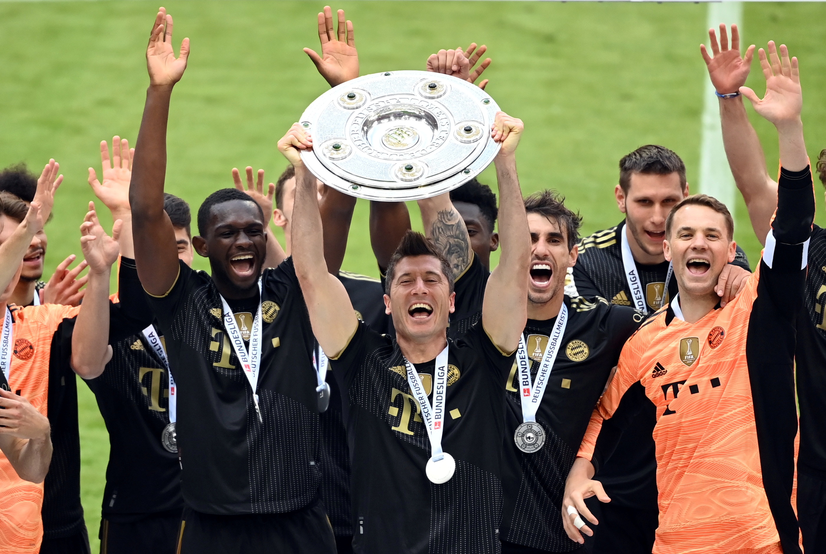 50吨植物油精炼设备