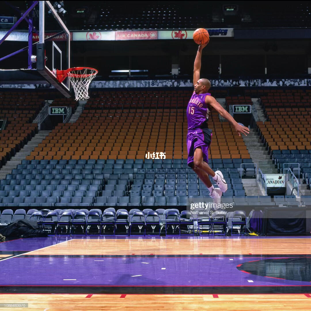 50吨植物油精炼设备