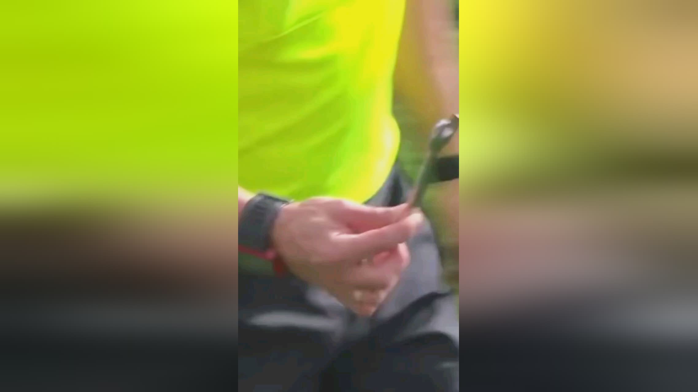 动物油熬炼设备