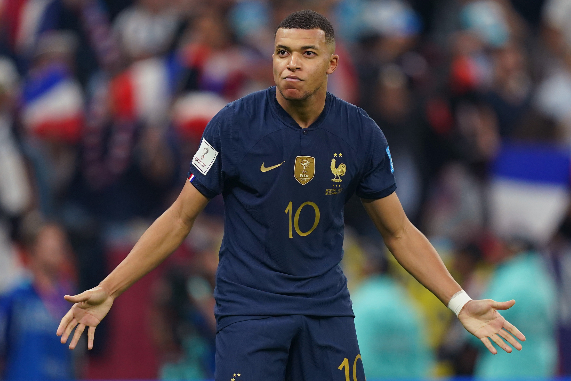 动物油熬炼设备