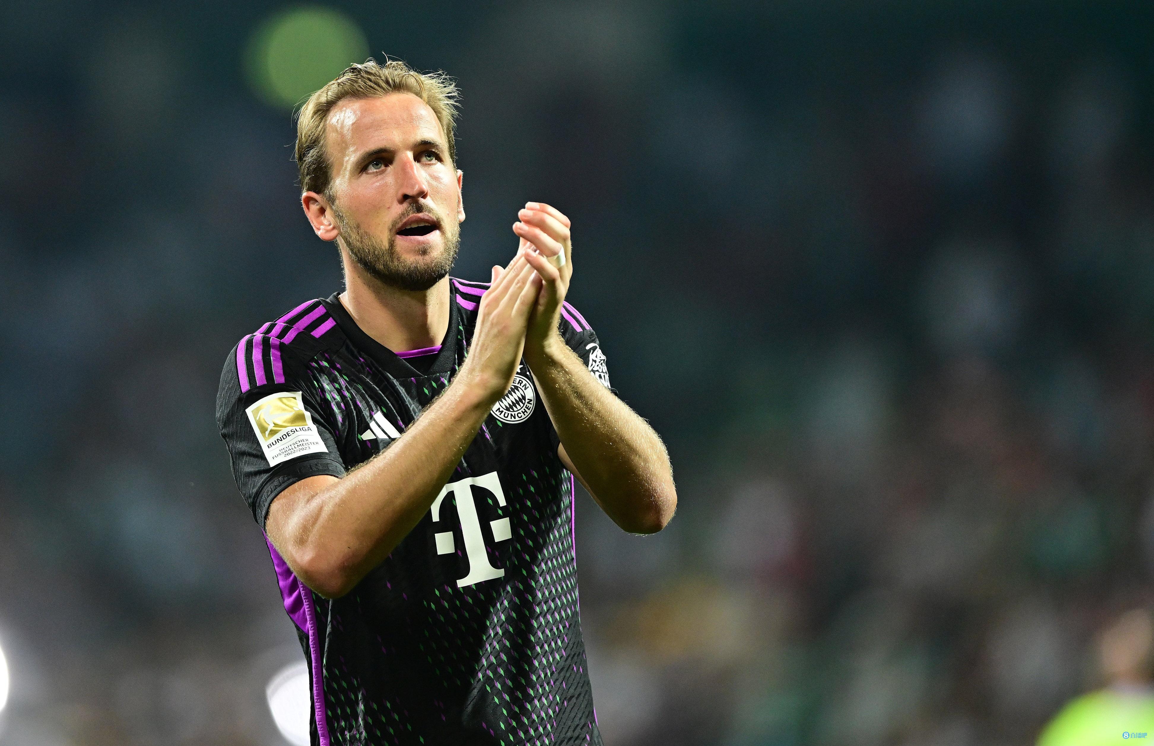 1吨-10吨茶籽油生产线